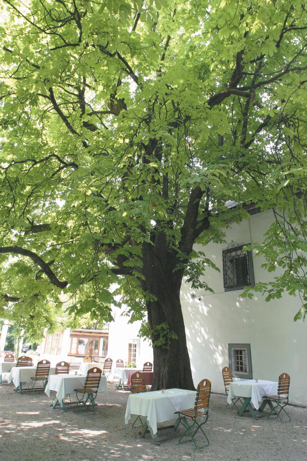 Landhotel Agathawirt Bad Goisern Exteriör bild